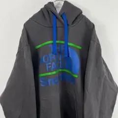 USA古着 ノースフェイス the north face パーカー グレー