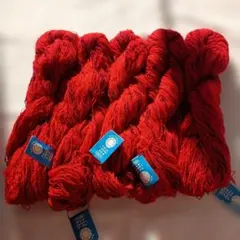 東洋紡フロスティ