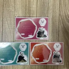 2025年最新】永明 アクリルスタンドの人気アイテム - メルカリ