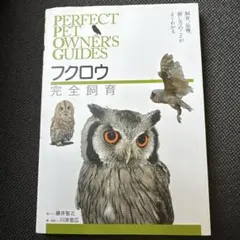 Item thumbnail for item 189bcba8-c8af-483f-9564-d10e5659fa1b