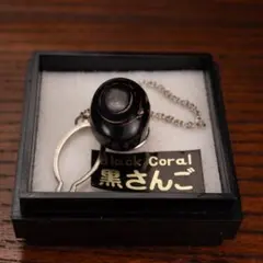 2026年最新】黒珊瑚の人気アイテム - メルカリ