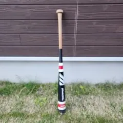 2025年最新】MIZUNO トレーニングバットの人気アイテム - メルカリ