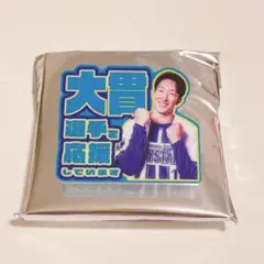 大貫晋一投手 横浜DeNAベイスターズ Blue Mates アクリルバッジ