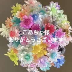 No.230 お得　スターフラワーミニ　ミックス　60個以上　ハーバリウム