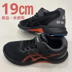 Item thumbnail for item 10c8cd95-9fe0-452a-85a3-72b5f6cd9934