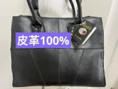 Item thumbnail for item 48c73645-74c9-4a1b-a730-3c1b104a88e0