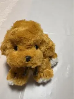 2026年最新】ジョイフルメイト レトリバーの人気アイテム - メルカリ