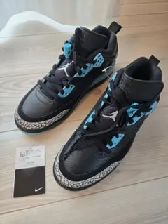 ナイキ ジョーダン スパイジーク ロー FQ1759-005