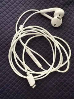 Item thumbnail for item 40765d3a-aaef-4a1d-9b3e-f57ca024e96e