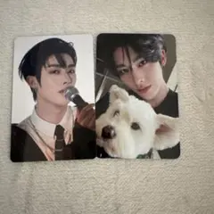 zb1 リッキー　トレカ