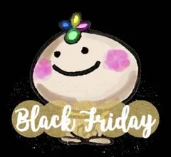 ブラックフライデー特別価格