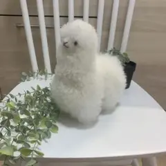 Item thumbnail for item 90a53300-9ef0-47ef-95ba-6caddadb44e5