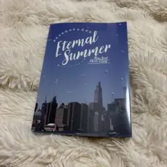 Eternal Summer New York Photo Diary