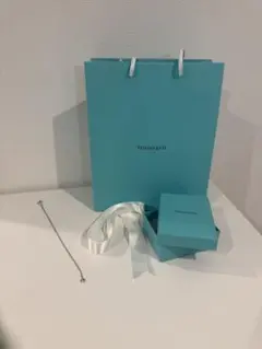 現行品Tiffanyティファニー 空箱巾着ミニショッパー紙袋 セット - メルカリ