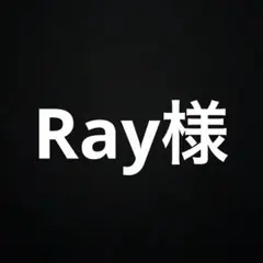 Ray様 リクエスト 4点 まとめ商品