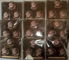 【アイナナ】記念日2025 缶バッジ 天