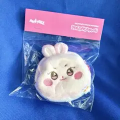 ATEEZ ANITEEZ IN ICE CITYミニ ポーチ ソンファ - メルカリ