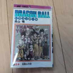 ドラゴンボール 30巻 初版 邪悪な予感 初刷 三十巻 - メルカリ
