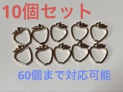 レジン枠 りんご 10個(60個まで対応可能)