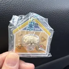 MINITEEN ミニティーン パッケージチャームのサムネイル