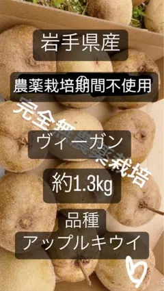 岩手県産 アップルキウイ 約1.3kg