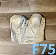 ザ トリートドレッシング　ビスチェF75(パッドあり)