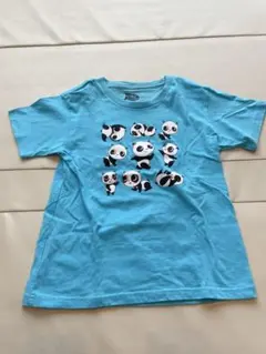 【最終価格】シンガポール　リバーサファリ　パンダ　Tシャツ