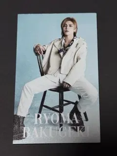 2025年最新】爆撃竜馬の人気アイテム - メルカリ