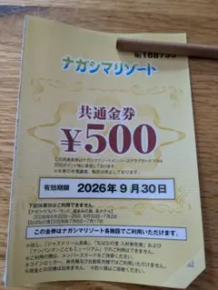 ナガシマリゾート 共通券 ¥500のサムネイル
