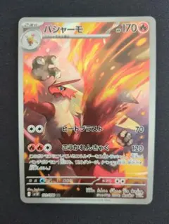 バシャーモ　AR