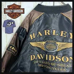 【110周年記念】ハーレーダビッドソン☆両面刺繍ロゴナイロンジャケット 希少XL ハーレーダビッドソン 115周年記念 刺繍 ナイロンボンバー