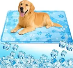 Item thumbnail for item ee2738dd-2ff7-4b86-bf1f-f48f3450f499