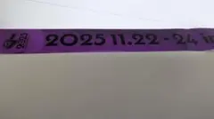 ぶいすぽっ！フェス 2025 銀テープ　紫