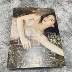 吉岡里帆 タレント写真集