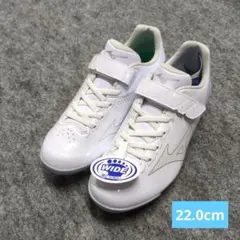 Item thumbnail for item d7bde74c-4602-40d3-8220-5189beb3a8cb