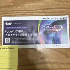 ディー・エヌ・エー株主優待 ワンダリア横浜 入館チケット引換券