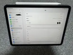 iPad Pro 11 inch (第3世代) M1 2TB cellular