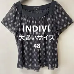 美品大きいサイズ48 INDIVIインディヴィ ドット シフォン 半袖カットソーのサムネイル