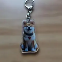 新品未使用で可愛い柴犬イラスト キーホルダー