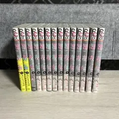 輝夜伝 全巻セット