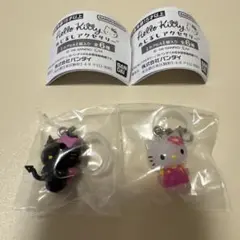 ハローキティ めじるしアクセサリー 小悪魔 お花 2種セット