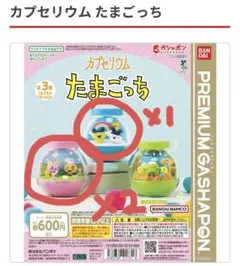 カプセリウム たまごっち まめっち　めめっち　3個セット