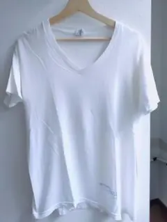 Dior Homme エディ期 スパイダー柄 Tシャツ 44 ホワイト - メルカリ