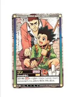 2026年最新】HUNTER×HUNTER カード ハイパーバトルの人気アイテム