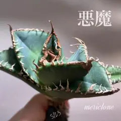 2026年最新】チタノタ悪魔くんの人気アイテム - メルカリ