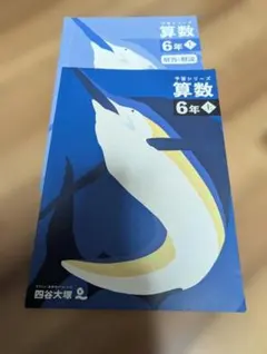 2026年最新】予習シリーズ 6年の人気アイテム - メルカリ