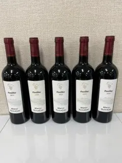 シャトー・ワイマラマKiraraka キララカ 2013 750ml 4本セット - メルカリ