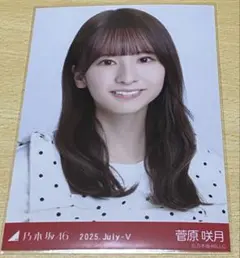 乃木坂46 菅原咲月 生写真 ドット