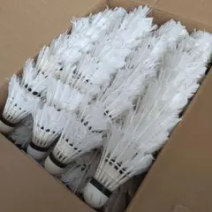 Item thumbnail for item 9f13ff46-9c7a-491f-a5d7-adb4e022481c