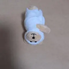 スタバ　ベアー　マスコット